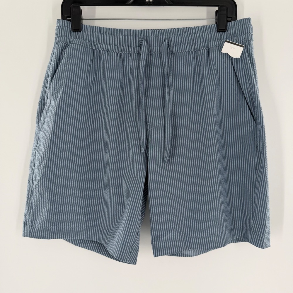 Iron Co Mens Blue White Striped Seersucker Stretch Shorts 7 Inseam Medium 32-34